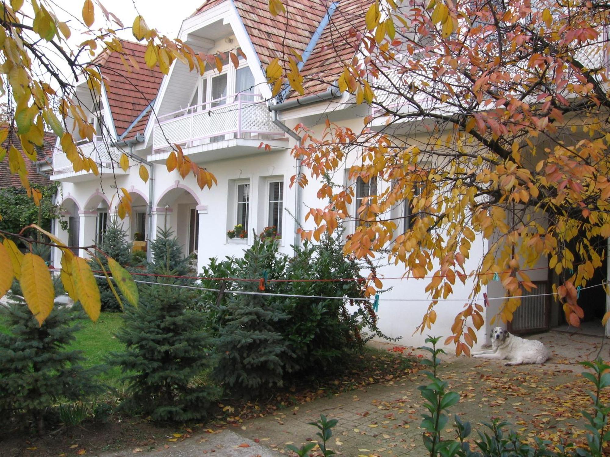 Pension Óvári Bük Esterno foto