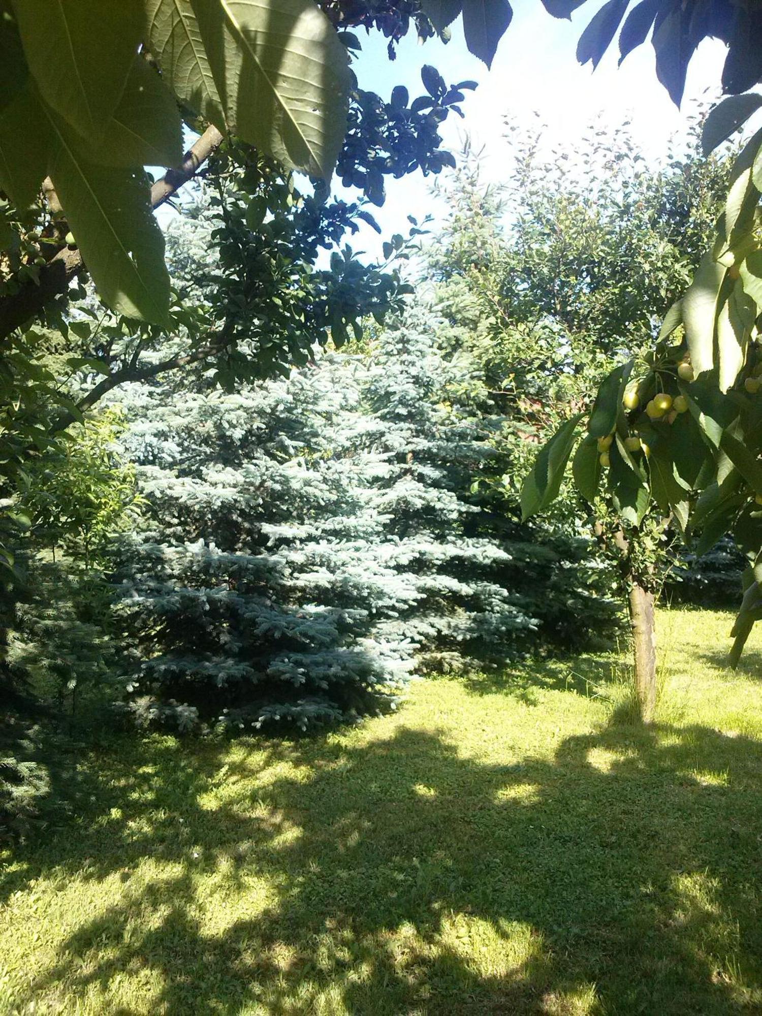 Pension Óvári Bük Esterno foto